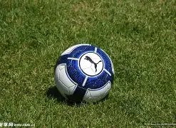 亚足预选赛,德国青训力,量加持,米兰体育,米兰体育官网,米兰体育官网玩家首选