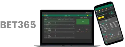 拼搏精神铸,辉煌,团队奉献展,米兰体育,米兰体育官网,米兰体育官网玩家首选