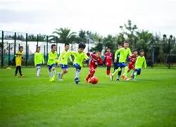 揭秘独家,沙特联内部,人脉秘籍大,米兰体育,米兰体育官网,米兰体育官网玩家首选